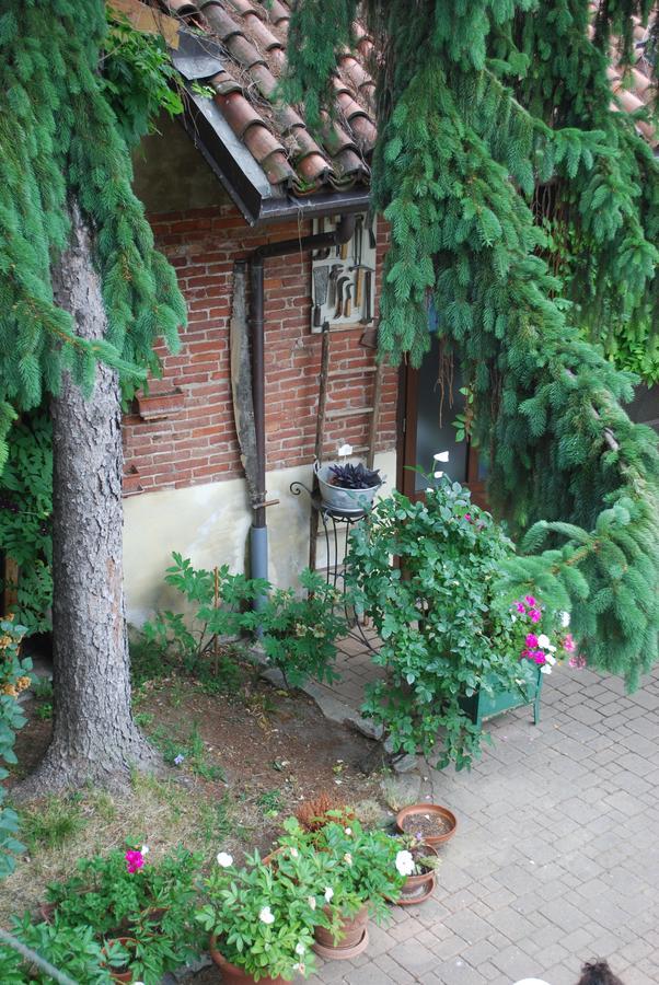 Bed and Breakfast La Curandera Rosta Zewnętrze zdjęcie